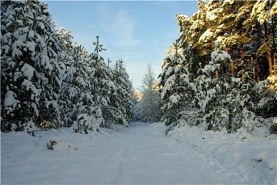 《公民沉睡者2》新预告公开 宇宙探索RPG